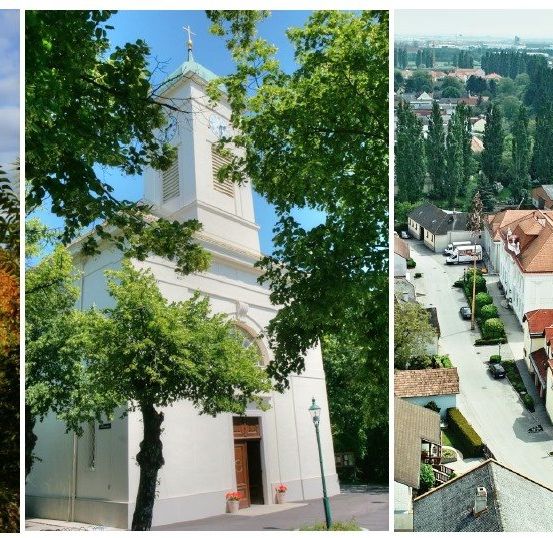 Drei Bilder: ein Baum, eine Kirche mit Glockenturm und eine Stadt mit Gebäuden und einer Straße.