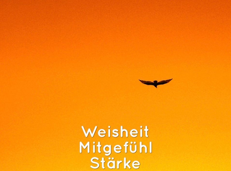 Ein orangefarbener Himmel mit einer Silhouette eines fliegenden Vogels. Unten des Vogels stehen die Worte 'Weisheit Mitgefuhl Starke' in weiß.