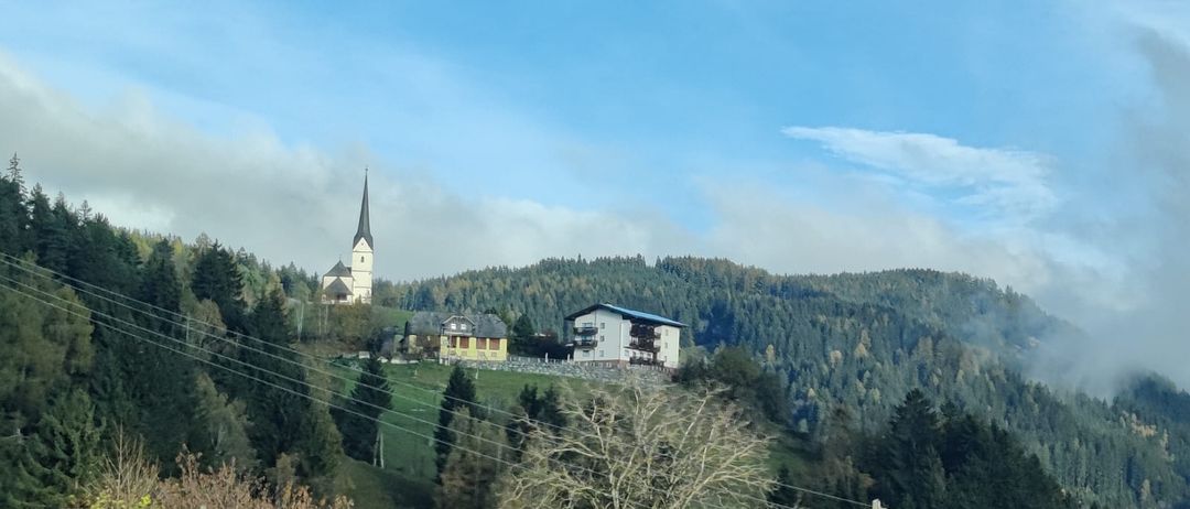 Bild enthält, Nature, Outdoors, Vegetation, Utility Pole, Tree, Woodland