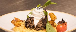 Ein Teller mit reichhaltigem, dunklem Fleisch, gekrönt von Schlagsahne und mit Grünzeug garniert, begleitet von cremigem Risotto, knusprigem Speck und Kirschtomaten.