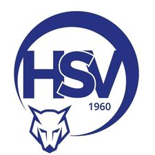 USV Zauntechnik Hutter Müllex Markt Hartmannsdorf-Logo