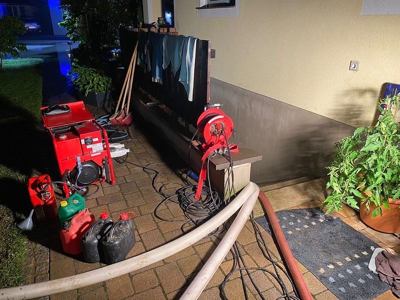 Bild enthält, Grass, Plant, Lawn, Potted Plant