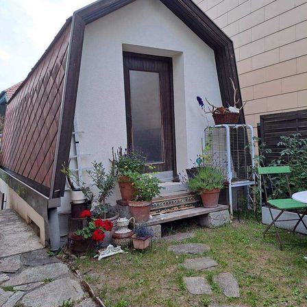 FB_IMG_1700497194281