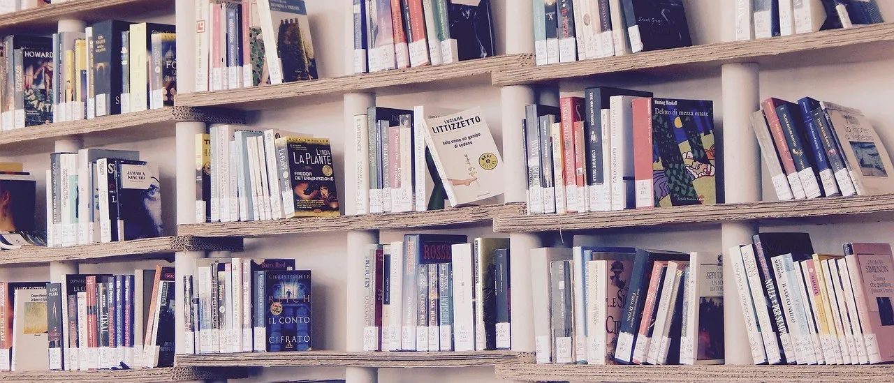 Ein hölzerne Bücherregal gefüllt mit verschiedenen Büchern, darunter 'La Plante', 'Il Conto Cifraro' und 'L'Iguana'. Die Bücher sind mit nach außen gerichteten Buchrücken organisiert.