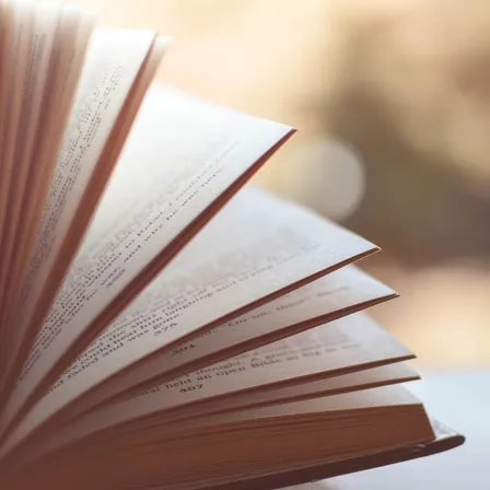 Ein Nahaufnahme eines offenen Buches mit mehreren umgeblätterten Seiten und sichtbarem Text. Der Hintergrund ist unscharf, was auf Sonnenlicht hinweist.