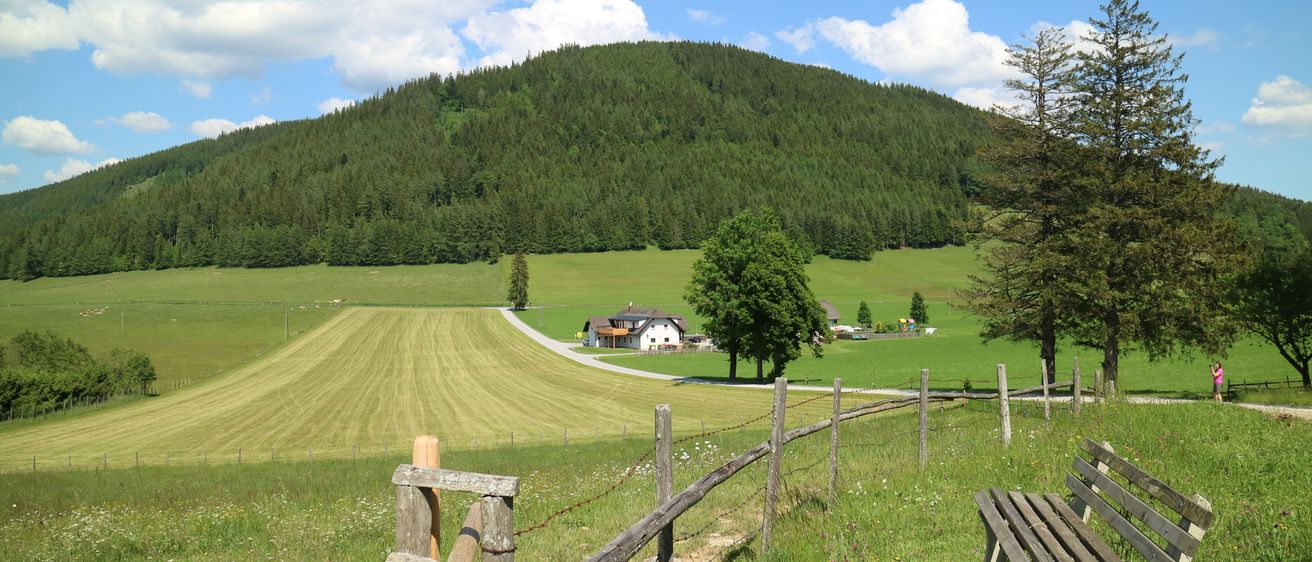 Bild enthält, Field, Grassland, Nature, Outdoors, Scenery, Grass, Bench, Countryside, Tree, Person