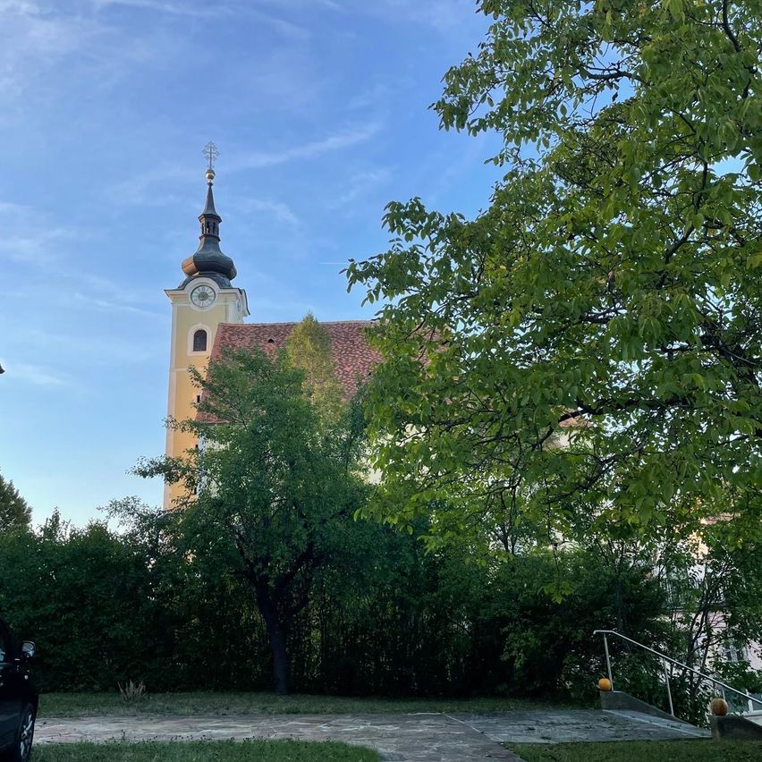 Eine Kirche mit einem hohen Turm und einer Uhr, umgeben von Bäumen und Büschen unter einem klaren blauen Himmel.