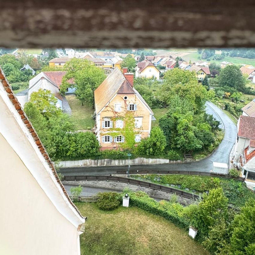 Ein Blick von oben auf ein kleines Dorf mit Häusern, Bäumen und einer gewundenen Straße. Die Häuser sind von Grün umgeben.