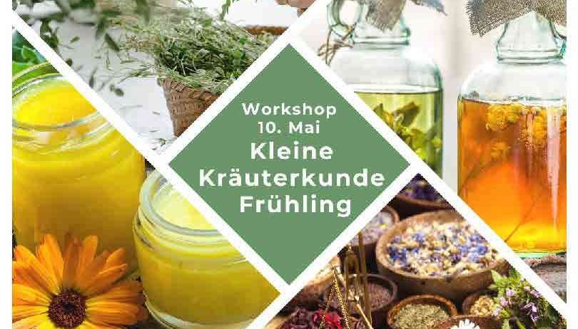 Eine Collage von Bildern aus einem Kräuterworkshop zeigt Gläser, Kräuter und Blumen. Der Text lautet 'Workshop 10. Mai Kleine Kräuterkunde Frühling'.