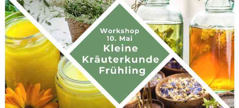 Eine Collage von Bildern aus einem Kräuterworkshop zeigt Gläser, Kräuter und Blumen. Der Text lautet 'Workshop 10. Mai Kleine Kräuterkunde Frühling'.