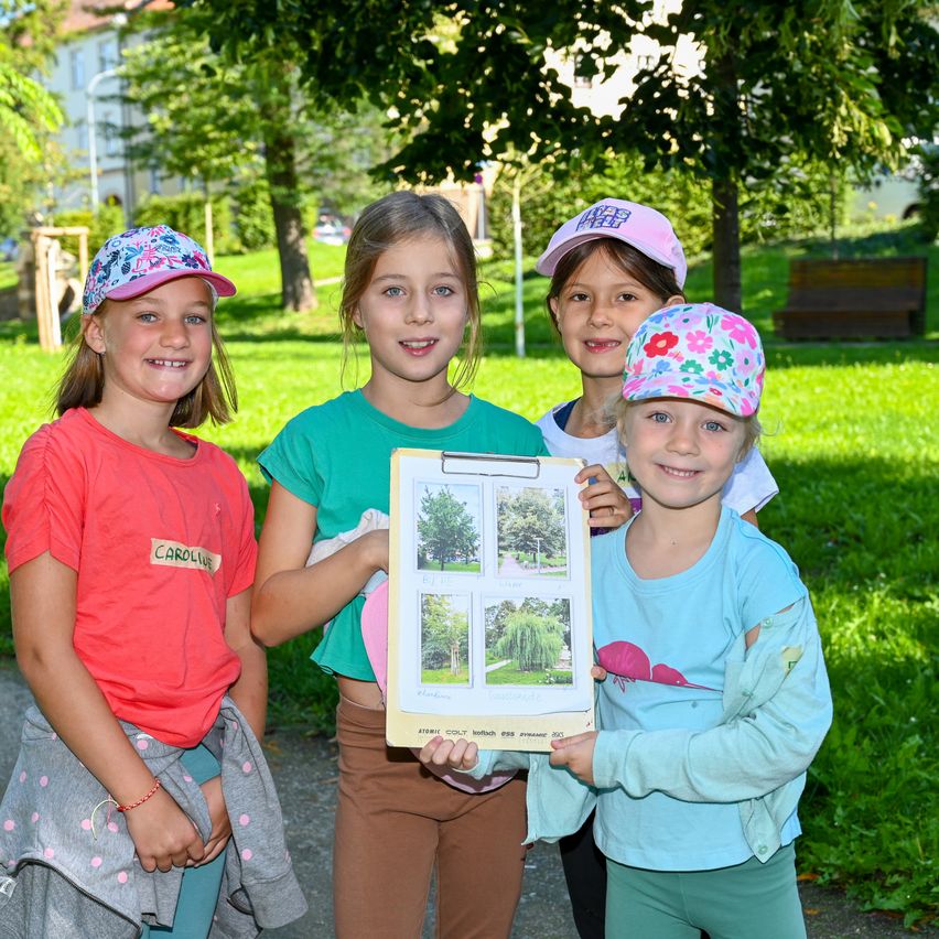 Vier junge Mädchen stehen in einem Park, lächeln und halten eine Pinnwand mit Bildern von Bäumen. Sie tragen bunte Mützen und T-Shirts. Der Hintergrund zeigt einen Rasenbereich mit Bäumen und einer Holzbank.