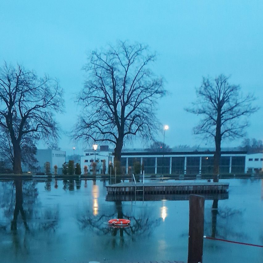Eine ruhige Abendszene mit einem See, der Bäume und Gebäude reflektiert. Ein Rettungsring schwimmt im Wasser, und Straßenlampen beleuchten das Gebiet.