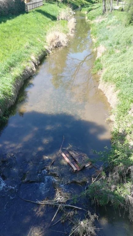 Ein kleiner Bach mit braunem Wasser, umgeben von grünem Gras und Bäumen. Ein Stück Holz liegt im Wasser.
