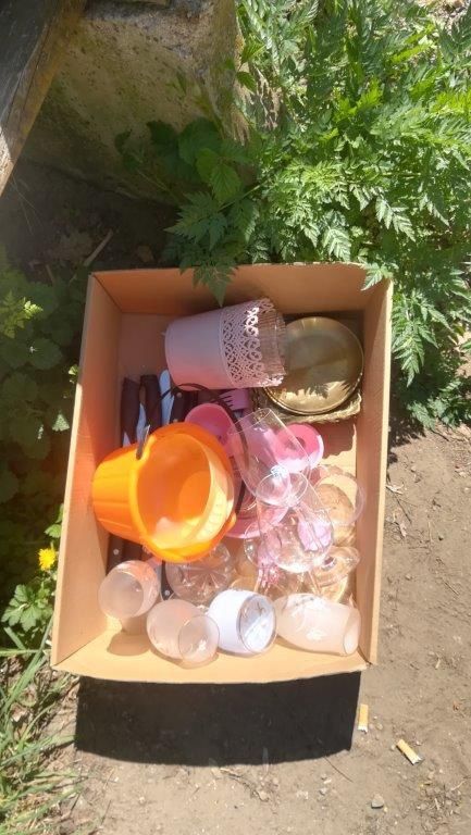 Ein Pappkarton gefüllt mit verschiedenen Gegenständen wie Bechern, Eimern, Tellern und Weingläsern. Der Karton steht auf dem Boden, mit etwas Grünzeug im Hintergrund.
