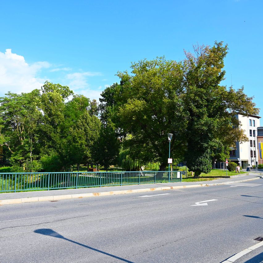 Eine ruhige Straße mit einer grünen Brüstung und Bäumen im Hintergrund, unter einem klaren blauen Himmel.