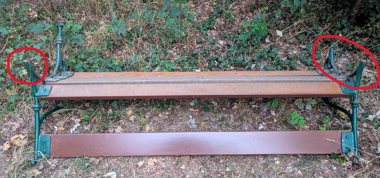 Eine Nahaufnahme eines Holzbretts mit brauner Oberfläche, das auf einem mit trockenen Blättern und kleinen grünen Pflanzen bedeckten Boden liegt.