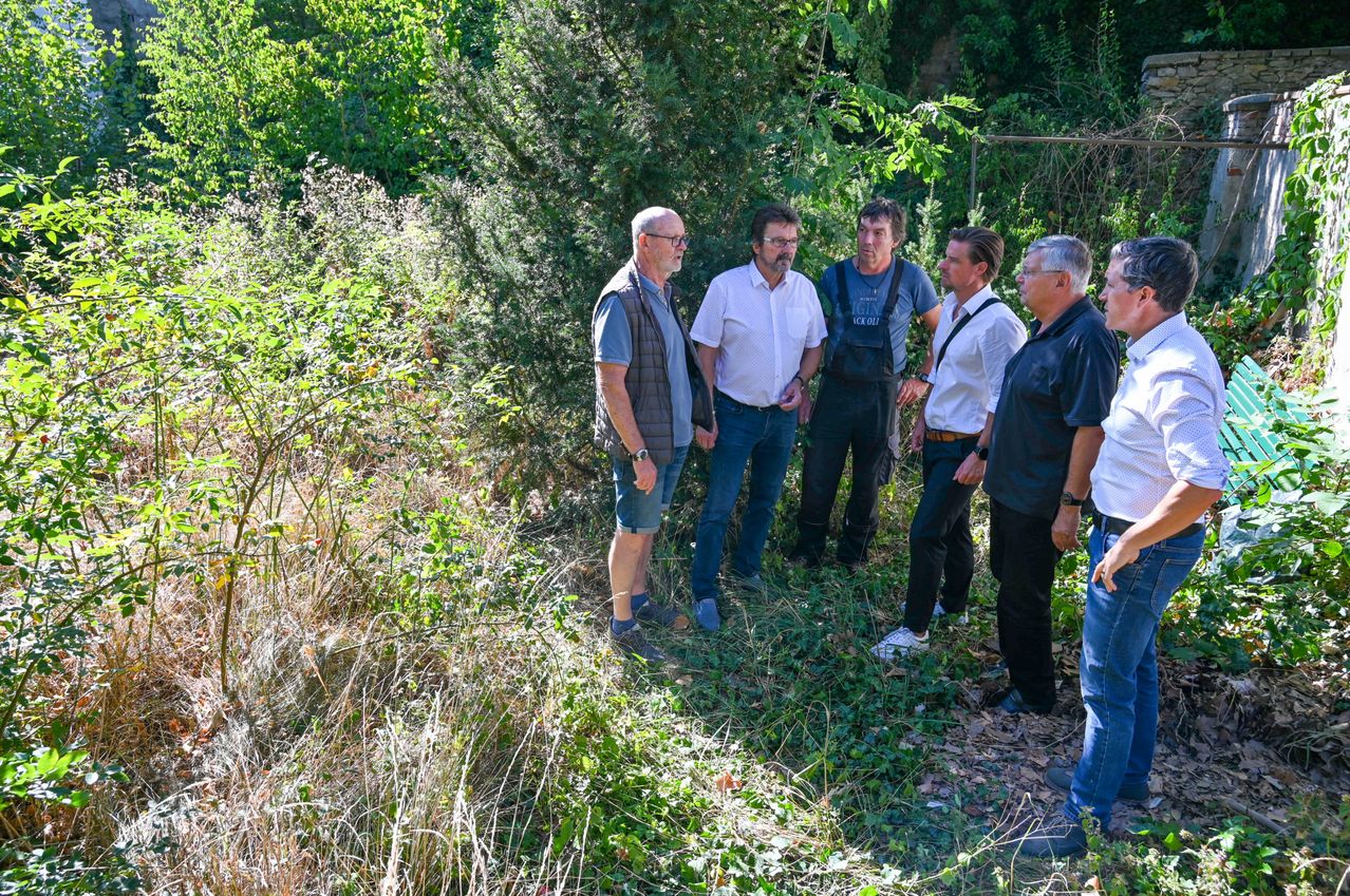 Five men stand in a garden, discussing something. They are all wearing casual clothing. Behind them, there are plants and trees.