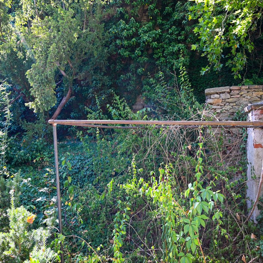 A metal structure stands amidst a dense, overgrown garden with green foliage and a stone wall in the background.