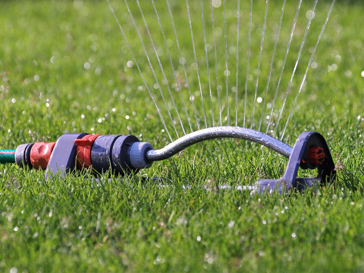 Ein Bewässerungssystem beregnet einen üppigen grünen Rasen, wobei Wassertropfen herausspritzen und auf den Boden fallen.