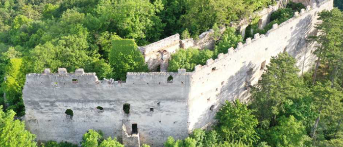 Bild enthält, Plant, Vegetation, Land, Outdoors, Tree, Woodland, Architecture, Building, Castle, Fortress