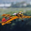 Animal, Bird, Flying, Aircraft, Airplane, Transportation, Vehicle, Biplane