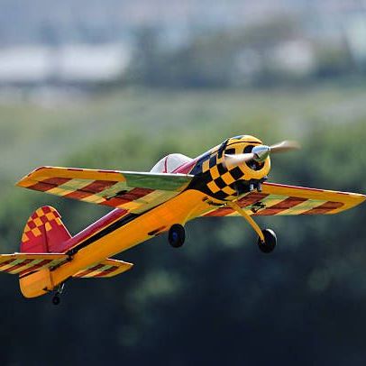 Bild enthält, Animal, Bird, Flying, Aircraft, Airplane, Transportation, Vehicle, Biplane