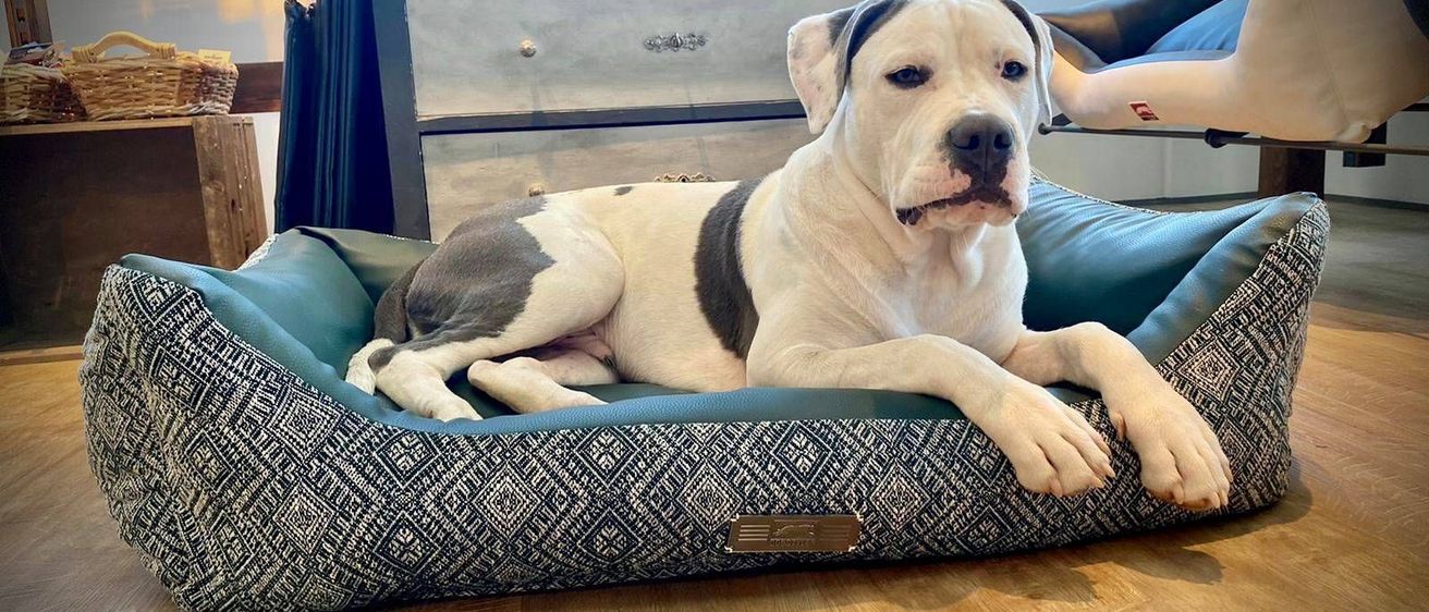 v1_migrated_image_72579267