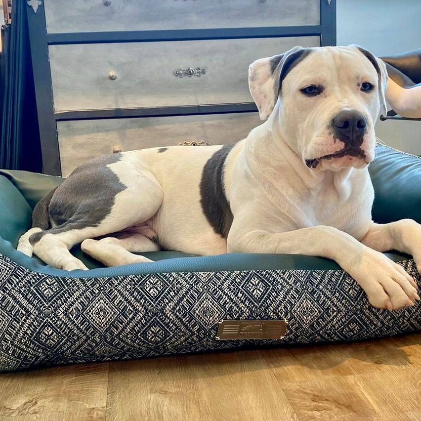 v1_migrated_image_72579267