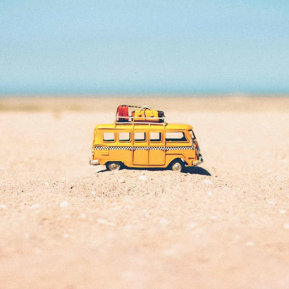 Bus, Transportation, Vehicle, Car, Outdoors, School Bus, Nature, Machine, Wheel