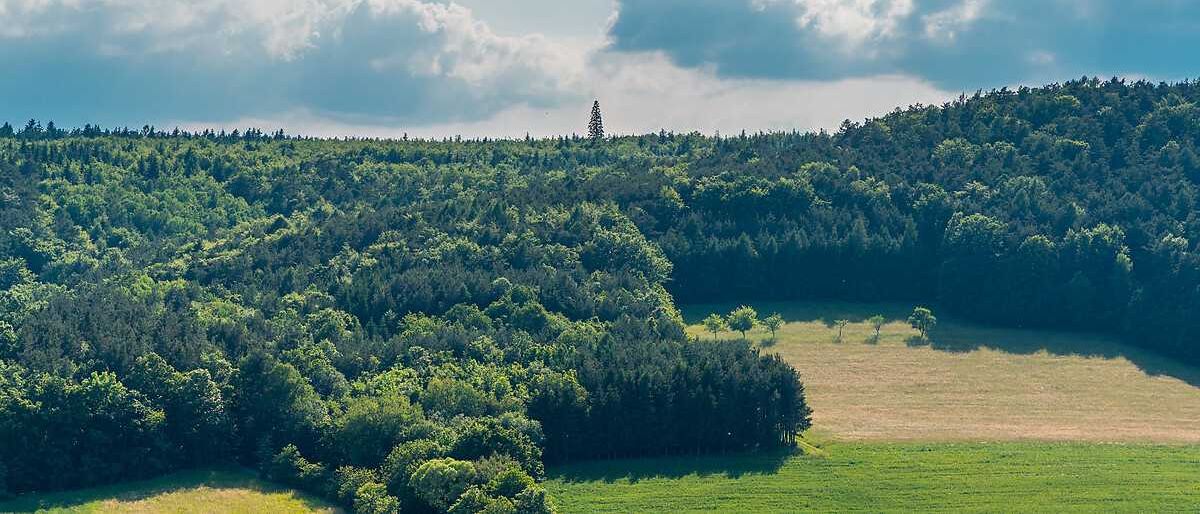 9bcb1fc3e59d2184_43110c43234a7a23