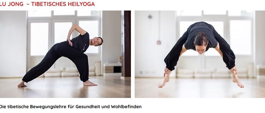 Zwei Personen praktizieren Yoga-Posen in einem sauberen Raum. Die Person auf der linken Seite beugt sich rückwärts, während die Person auf der rechten Seite auf einem Bein steht.