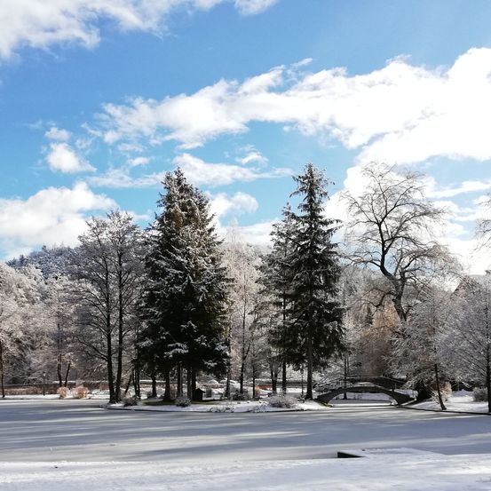 Ein zugefrorener See umgeben von schneebedeckten Bäumen und einer Brücke in einem Gebirgsgebiet unter teilweise bewölktem Himmel.