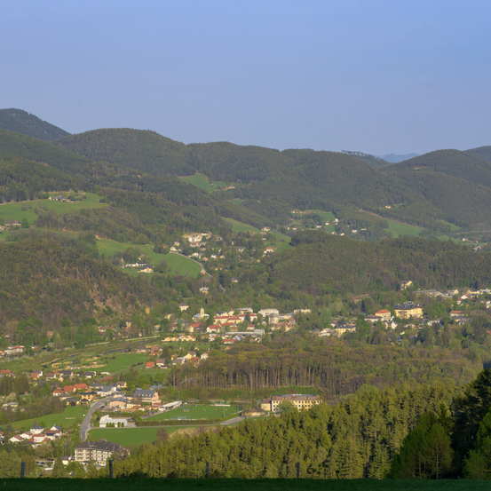 Luftaufnahme eines Tals mit Häusern, Bergen und Bäumen. Das Tal ist üppig grün und mit Gebäuden übersät. Die Berge im Hintergrund sind mit Bäumen bedeckt.