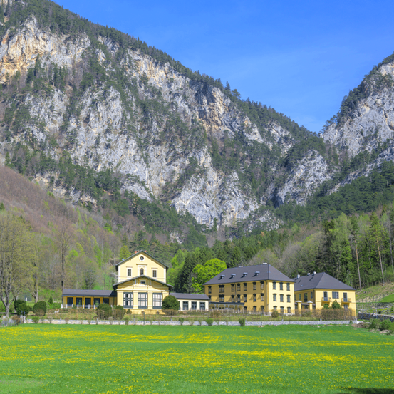 Ein großes gelbes Gebäude mit einem roten Dach befindet sich neben einem grünen Feld mit Bäumen und Büschen. Das Feld ist von einem mit Bäumen bedeckten Berg umgeben.