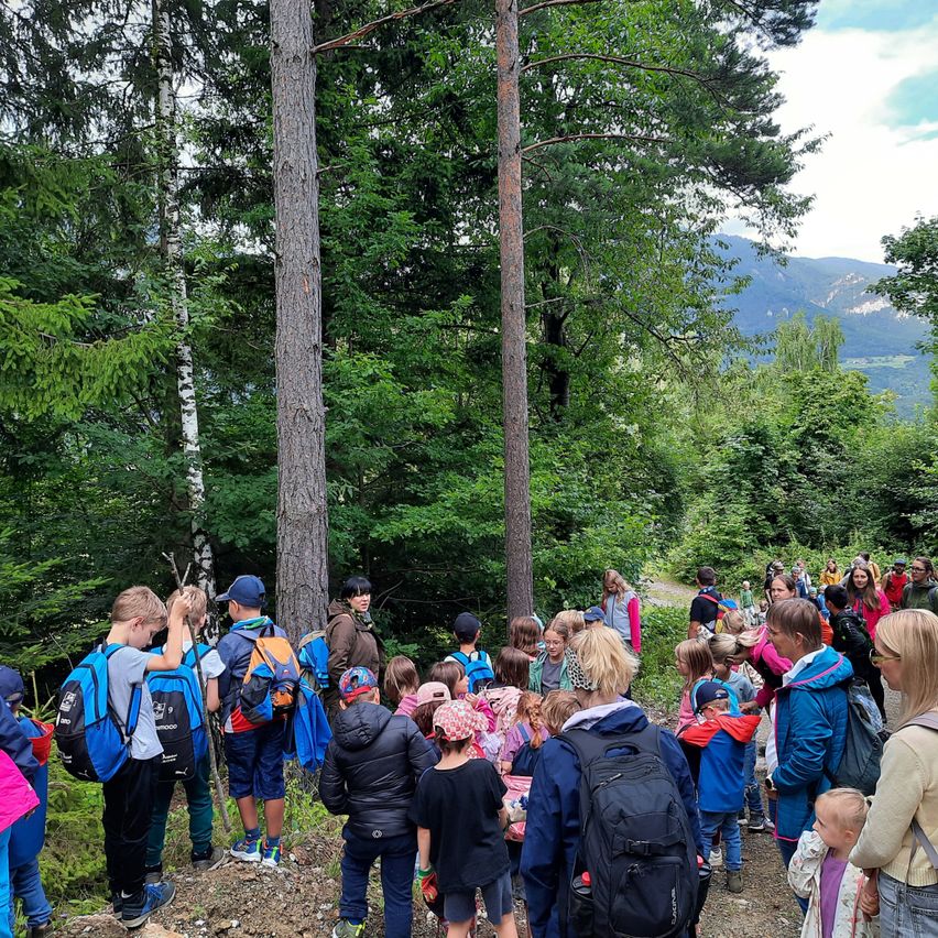 Eine Gruppe von Kindern und Erwachsenen wandert auf einem Waldpfad, umgeben von hohen Bäumen und einer malerischen Bergkulisse. Sie tragen Rucksäcke und Jacken, einige haben Mützen auf.
