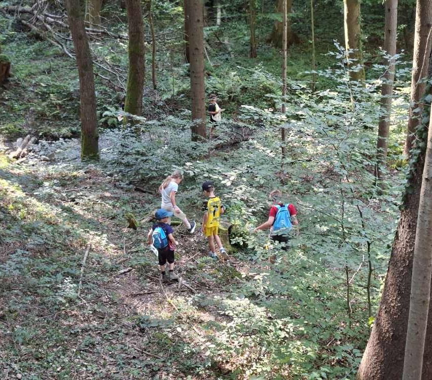 Eine Gruppe von Kindern mit Rucksäcken wandert in einem Wald und navigiert durch dichtes Laub und Bäume.
