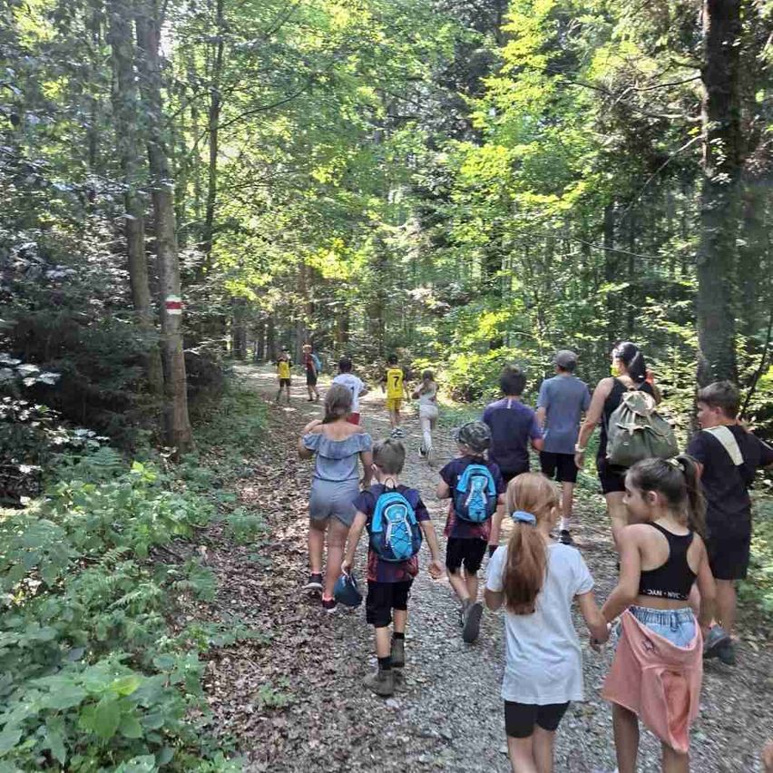 Eine Gruppe von Menschen, einschließlich Kindern, geht auf einem Kiesweg im Wald. Einige halten sich an den Händen, andere tragen Rucksäcke.