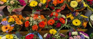 Bild enthält, Flower, Flower Arrangement, Flower Bouquet, Plant, Daisy, Petal, Dahlia