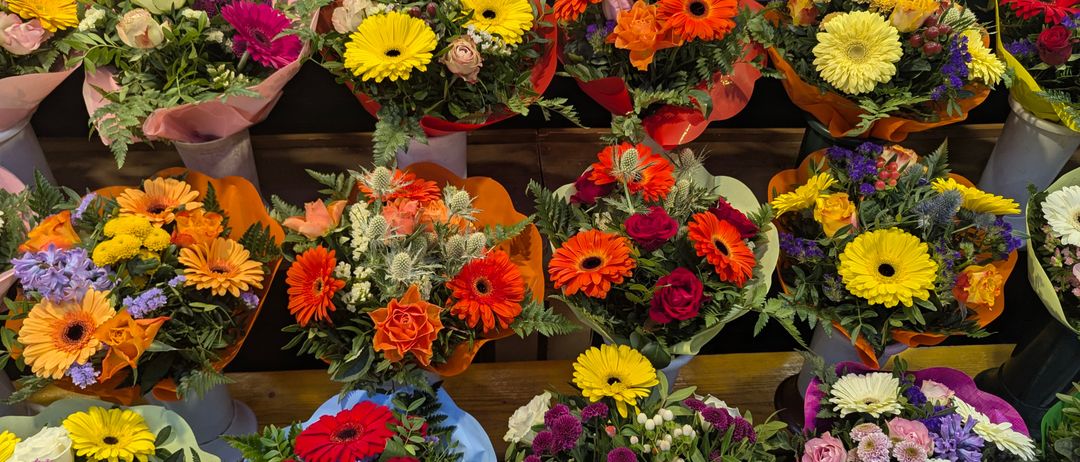 Bild enthält, Flower, Flower Arrangement, Flower Bouquet, Plant, Daisy, Petal, Dahlia