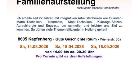 Werbung für einen systemischen Familienaufbau-Workshop von Martin Hannes Hammelhofer. Der Workshop findet am 14. März, 18. April und 16. Mai 2026 statt. Weitere Informationen unter www.mh-training.at.