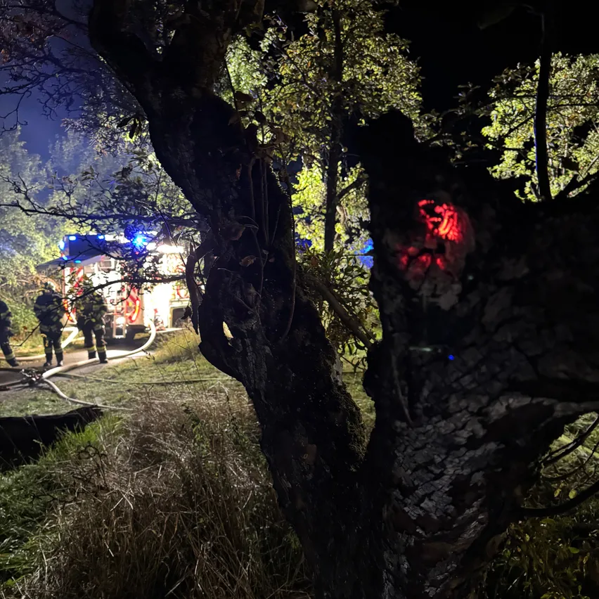 Feuerwehrleute in voller Montur bekämpfen ein Feuer in einem Wald bei Nacht, mit einem Feuerwehrwagen und einer Schlauchleitung sichtbar.