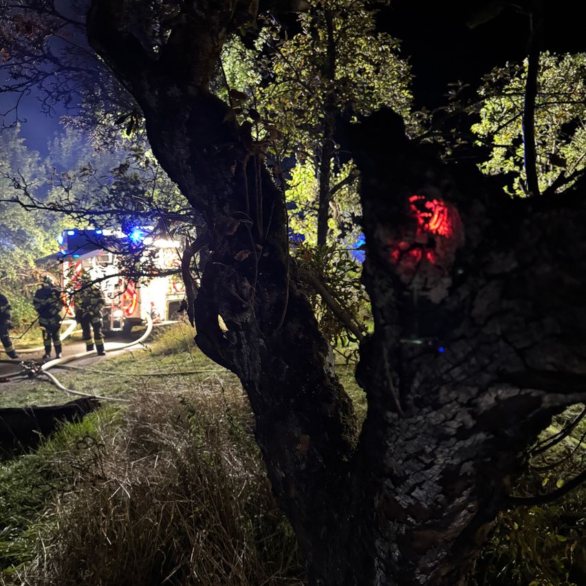 Feuerwehrleute in voller Montur bekämpfen ein Feuer in einem Wald bei Nacht, mit einem Feuerwehrwagen und einer Schlauchleitung sichtbar.
