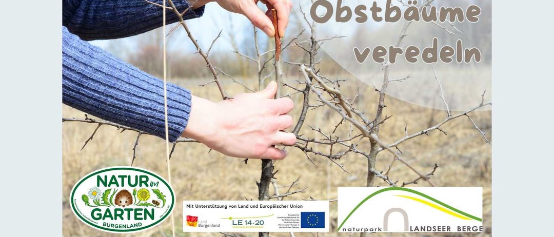 Bild enthält, Grass, Vegetation, Finger, Hand, Person, Photography, Screwdriver, Outdoors