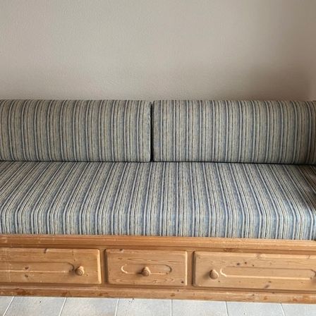 Bild enthält, Furniture, Couch, Cushion, Home Decor, Pillow, Animal, Canine, Mammal, Dog, Pet