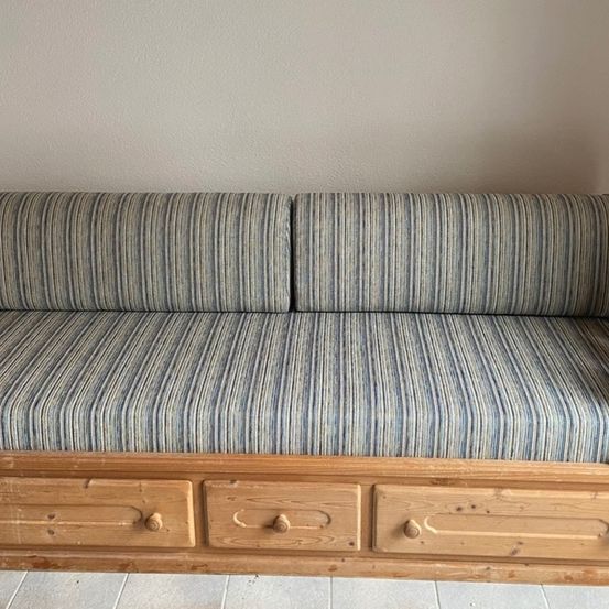 Image contains, Furniture, Couch, Cushion, Home Decor, Pillow, Animal, Canine, Mammal, Dog, Pet