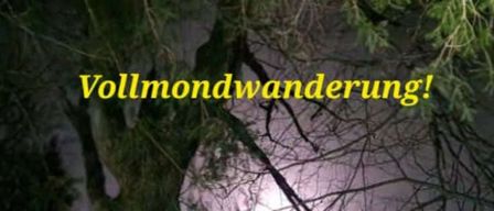 A full moon walk event is scheduled for December 4th at 5 PM in Tragoss. The meeting point is at Parkplatz Grüner See. The event lasts about 2 hours and includes refreshments at Hoamatcafe. Adults pay 10, children free.