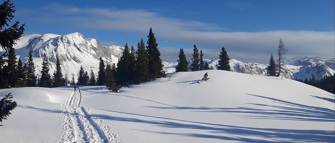Ein einzelner Skifahrer bewegt sich durch eine verschneite Landschaft, mit schneebedeckten Bäumen und Bergen im Hintergrund unter einem klaren blauen Himmel.