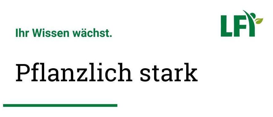 Protein Power für Jung und Alt. Eier, der Baustein für ein gesundes Leben - von herzhaften Hülsenfrüchten über vielfältige Getreidevariationen bis hin zu köstlichen Pilzgerichten. Erhalten Sie wertvolle Tipps und einfache Rezepte, die nicht nur gesund, sondern auch nachhaltig und alltagstauglich sind.