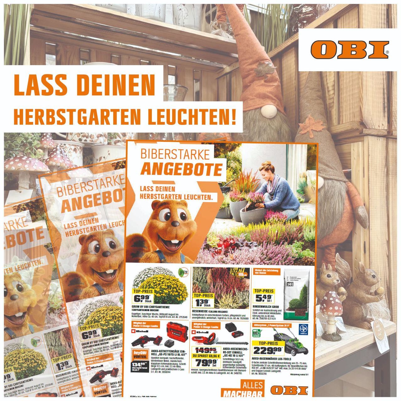 Bild enthält, Advertisement, Poster, Person, Bear, Mammal, Wildlife, Dog, Pet, Face, Head