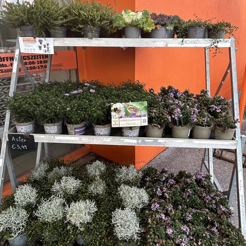 Beitrag von OBI Markt Unterwart | CITIES